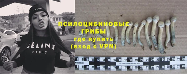 трава Алзамай