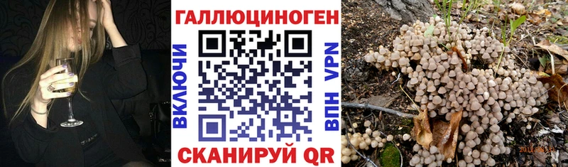 Псилоцибиновые грибы MAGIC MUSHROOMS  наркотики  Шуя 